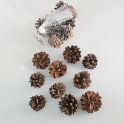 Ảnh sản phẩm
