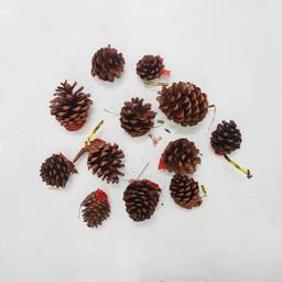 Ảnh sản phẩm