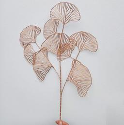 Ảnh sản phẩm