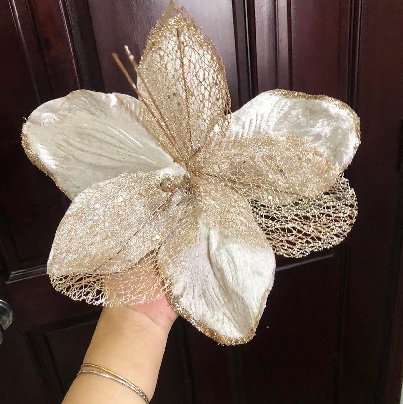 Ảnh sản phẩm