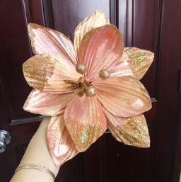 Ảnh sản phẩm