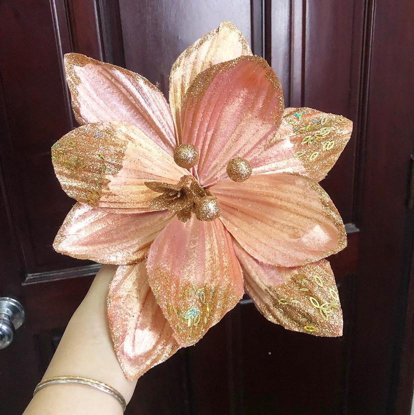 Ảnh sản phẩm