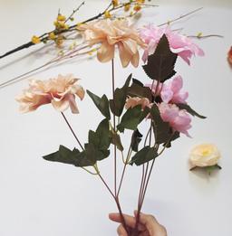 Ảnh sản phẩm