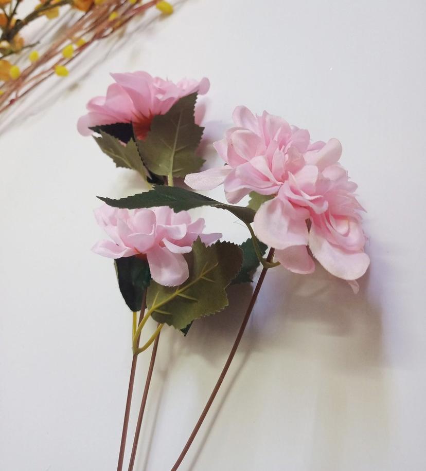 Ảnh sản phẩm