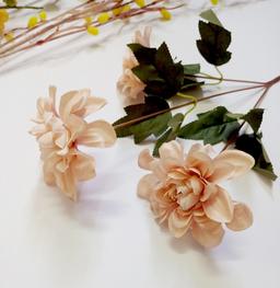 Ảnh sản phẩm