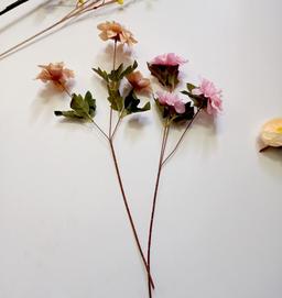 Ảnh sản phẩm