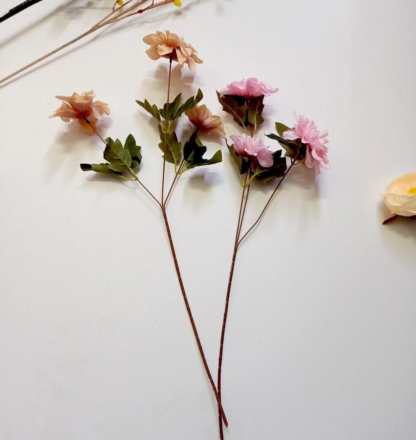 Ảnh sản phẩm