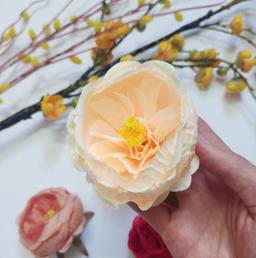 Ảnh sản phẩm