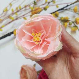 Ảnh sản phẩm