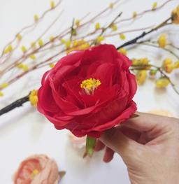 Ảnh sản phẩm