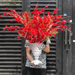 Ảnh sản phẩm