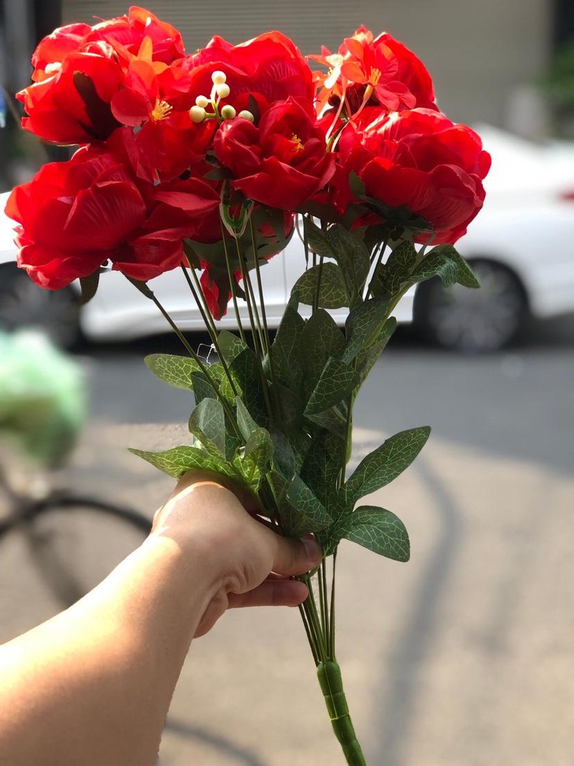 Ảnh sản phẩm