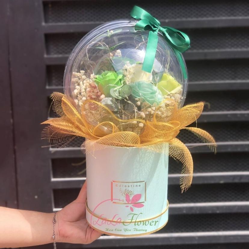 Ảnh sản phẩm