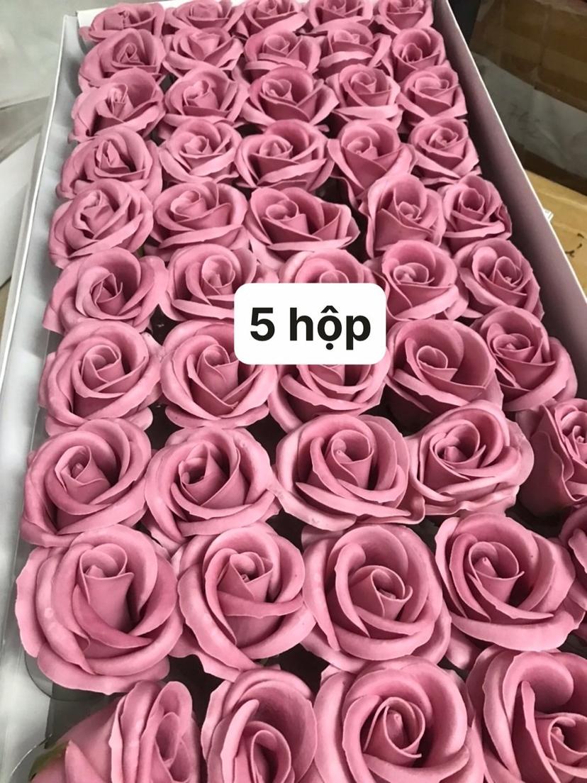 Ảnh sản phẩm