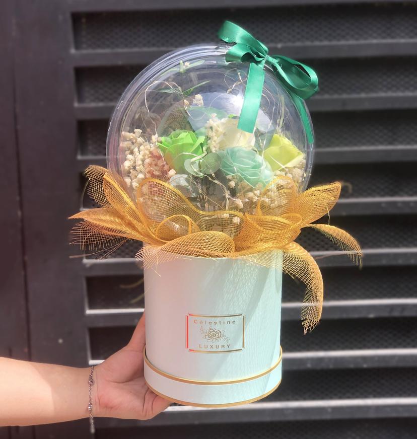 Ảnh sản phẩm