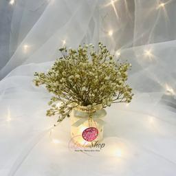 Ảnh sản phẩm
