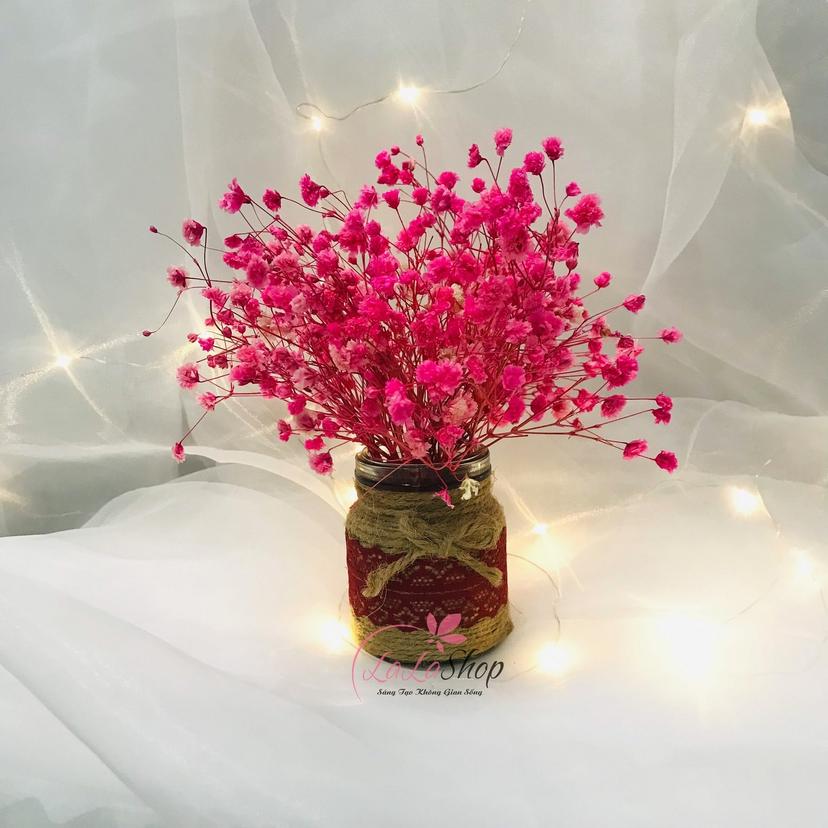 Ảnh sản phẩm