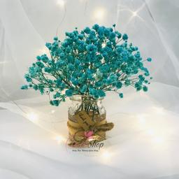 Ảnh sản phẩm