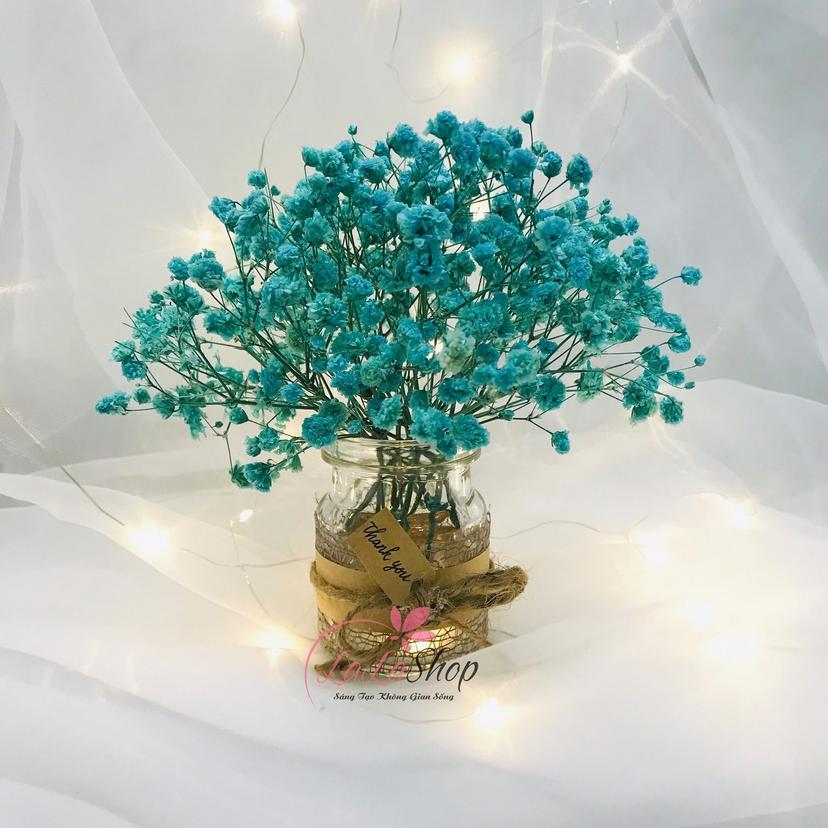 Ảnh sản phẩm
