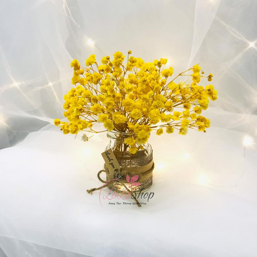 Ảnh sản phẩm