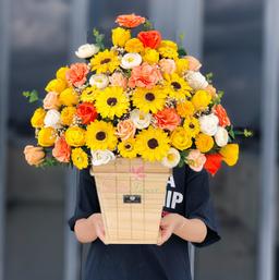 Ảnh sản phẩm