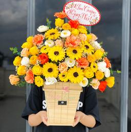 Ảnh sản phẩm