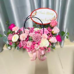 Ảnh sản phẩm