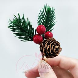 Ảnh sản phẩm