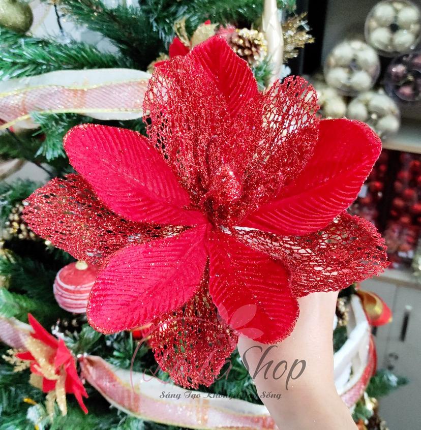 Ảnh sản phẩm