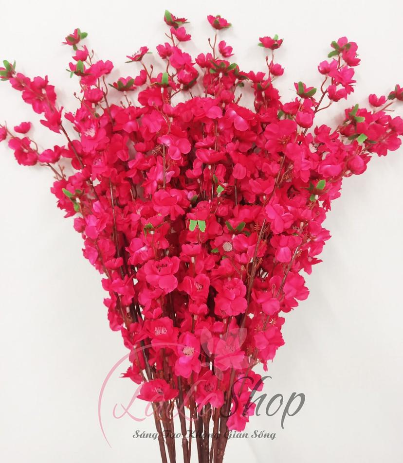 Ảnh sản phẩm