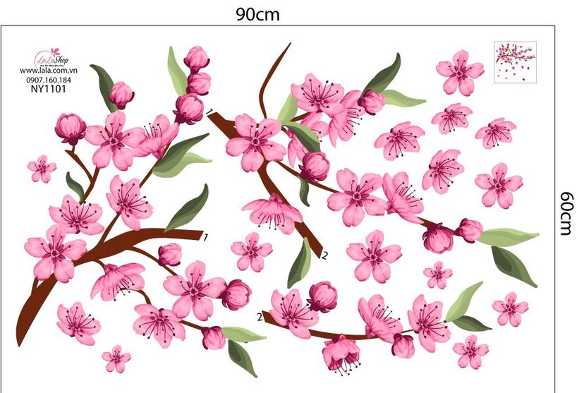 Ảnh sản phẩm