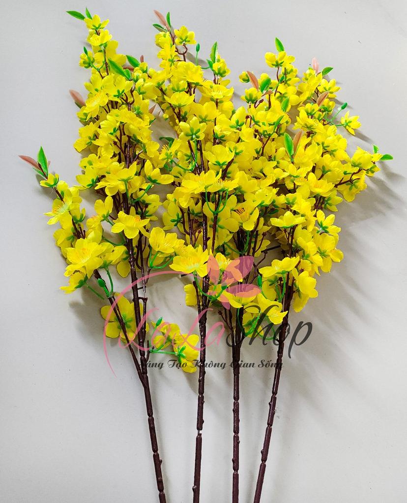 Ảnh sản phẩm