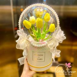 Ảnh sản phẩm