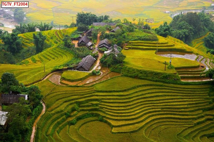 Ảnh sản phẩm