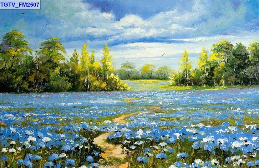 Ảnh sản phẩm
