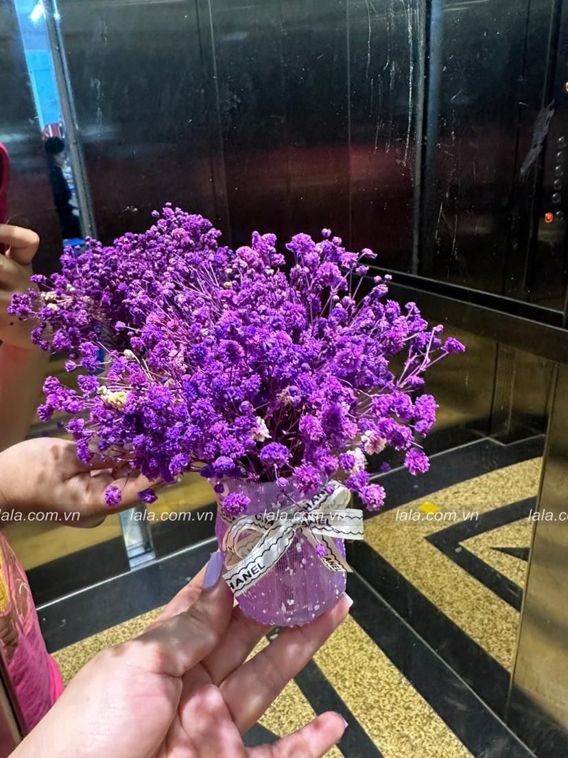 Ảnh sản phẩm