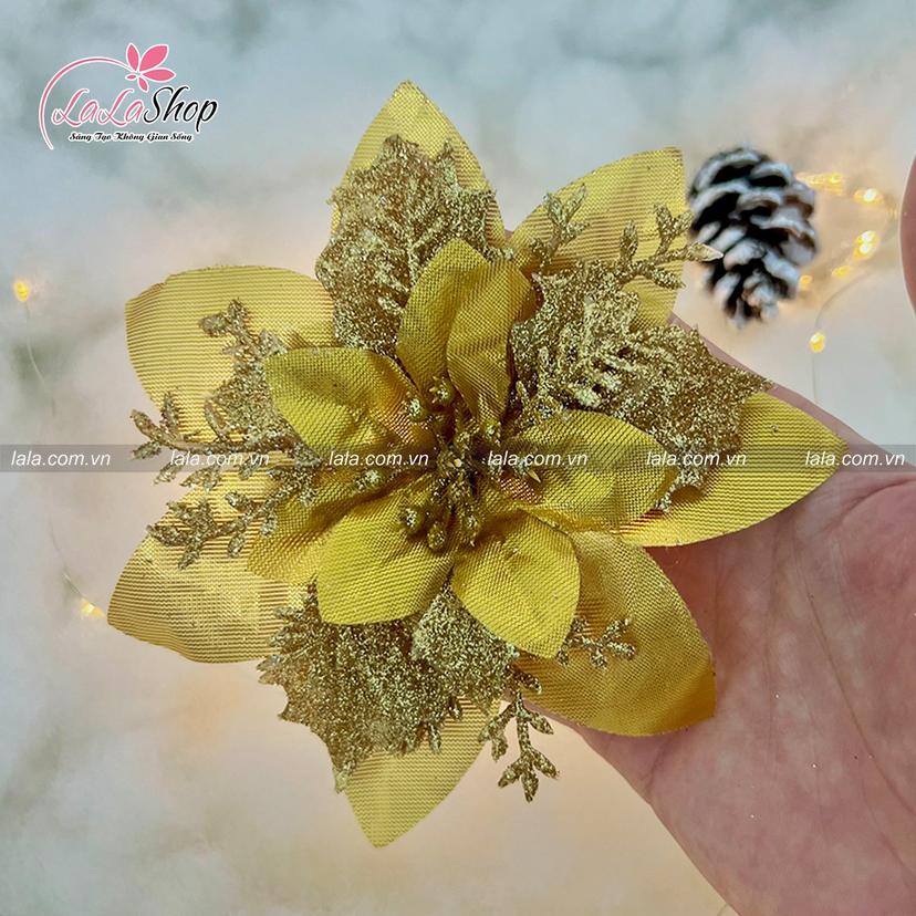 Ảnh sản phẩm