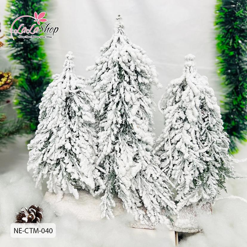Ảnh sản phẩm