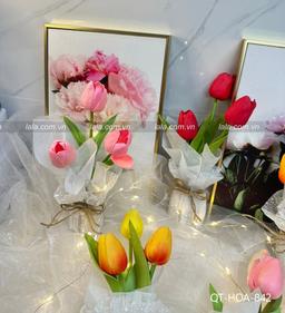 Ảnh sản phẩm