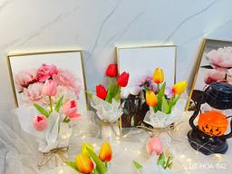 Ảnh sản phẩm