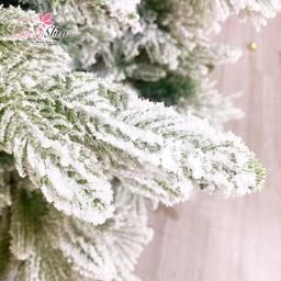 Ảnh sản phẩm