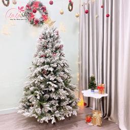 Ảnh sản phẩm