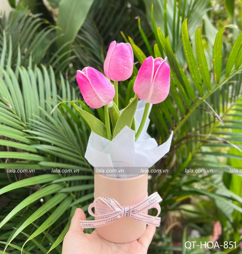 Ảnh sản phẩm