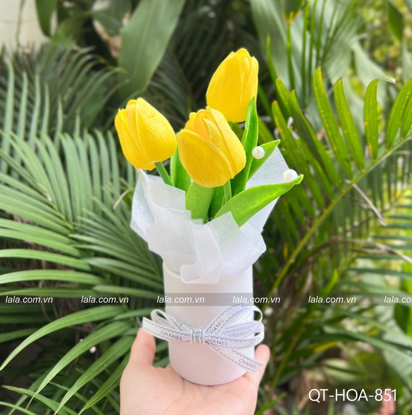 Ảnh sản phẩm