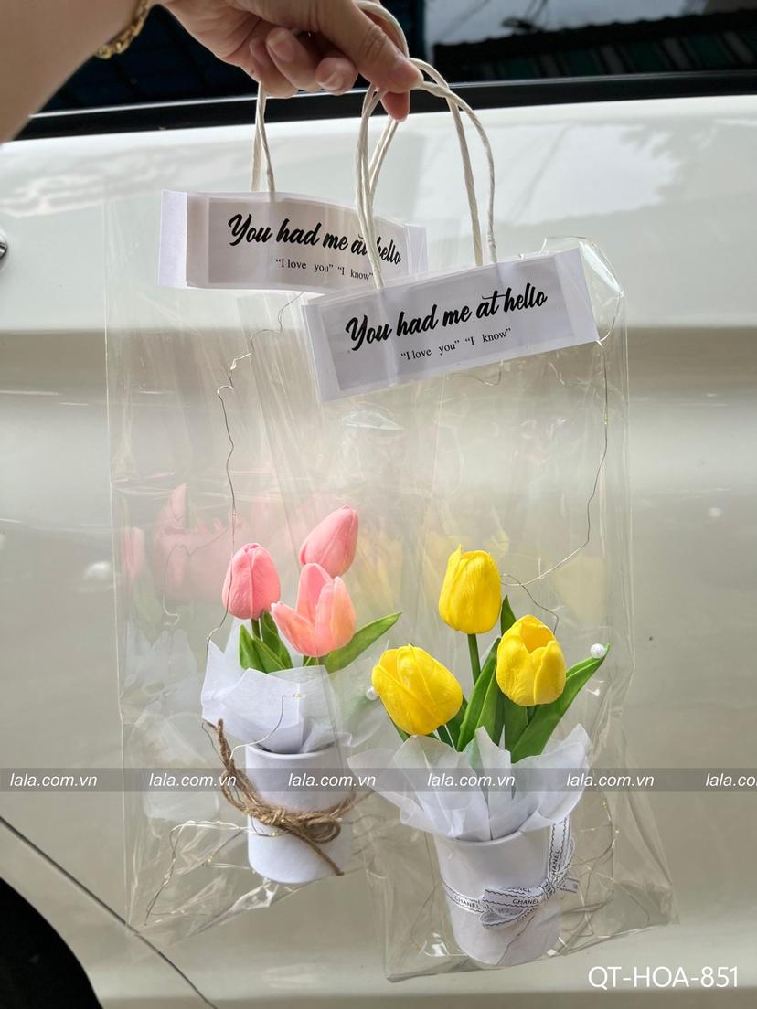 Ảnh sản phẩm