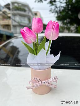 Ảnh sản phẩm