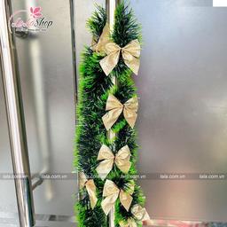 Ảnh sản phẩm