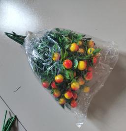 Ảnh sản phẩm