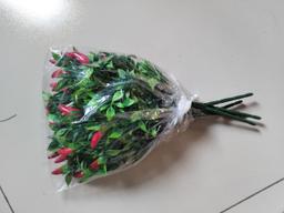Ảnh sản phẩm