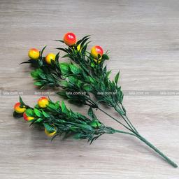 Ảnh sản phẩm